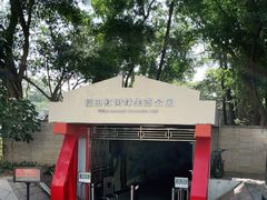 -福田红树林生态公园