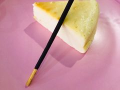 -百好乐宠物友好餐厅(朝外大街店)