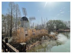 -北京国际鲜花港