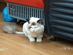 -怡妮新疆风味餐厅(东江湾路店)