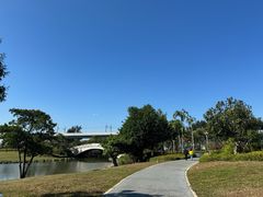 -宝安西湾红树林湿地公园