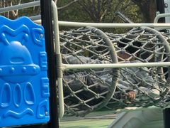 -苏州河梦清园环保主题公园