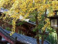 -千佛山风景名胜区