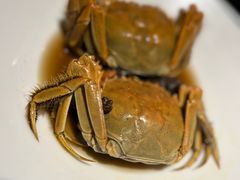 -应天大明王朝·南京菜(中山陵店)