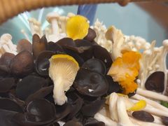 -东海怡品海鲜豆捞(星街坊店)