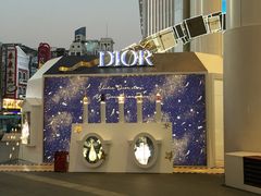 -Dior迪奥(上海世茂广场店)