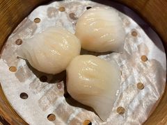 -纽斯特牛排自助餐厅(浦东文峰广场店)