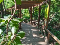 -大岭沟猕猴桃谷风景区