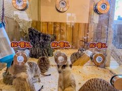 -珠海海泉湾神秘岛亲子乐园