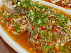 飞虹鱼-飞虹鱼馆(春华路店)