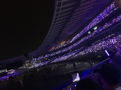 -南京奥林匹克体育中心-体育馆