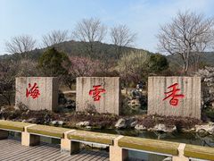 -香雪海