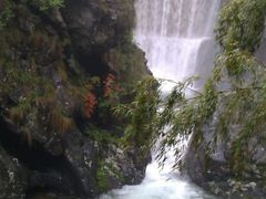 android_upload_pic-祁门牯牛降观音堂风景区