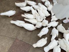 -国色天乡三期陆地乐园