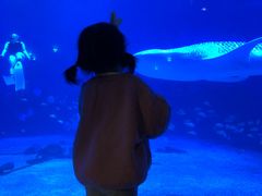 -烟台海昌鲸鲨海洋公园