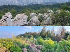 -长虫山生态公园风景林