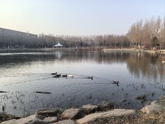 -吉林大学(前卫南校区)