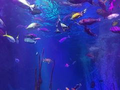 -沈阳海洋探索中心