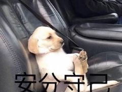 -首都医科大学附属北京地坛医院