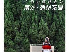 -南沙蒲洲花园
