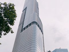 -紫峰大厦