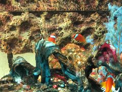 -北戴河圣蓝海洋公园