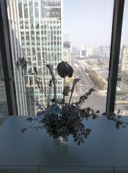 -颜蕾医美·黄金微针·水光·玻尿酸·超声炮·抗衰中心
