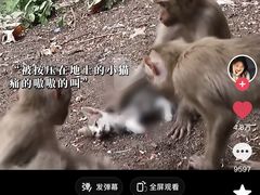 -昆明动物园
