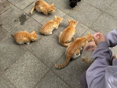 -晓港公园