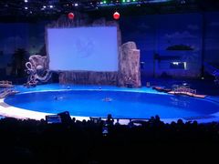 -华夏文旅海洋公园