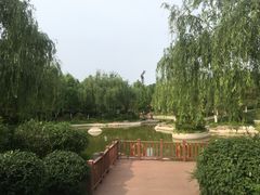 -鹦鹉寺公园