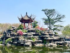 -顺峰山公园