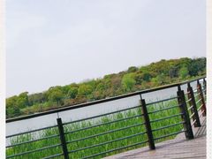 -昆山城市生态森林公园