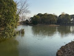 -梁鸿国家湿地公园