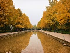 -玲珑塔公园