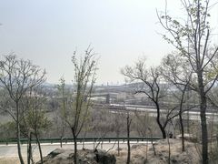 -白水寺森林公园