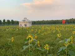 -兰陵国家农业公园