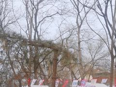 -外研书店(北京外国语大学西校区北外国际大厦店)