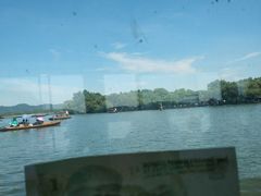 -西湖外事游船(花港观鱼码头)