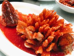 松鼠鱼-亢龙太子酒轩(东湖店)