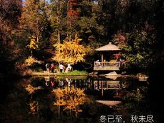 -上海共青森林公园