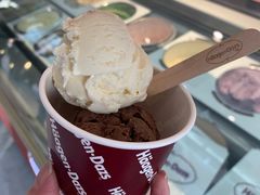 -哈根达斯(武汉天地店)