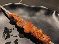 -额尔敦传统涮(公园西路店)