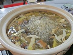 -蘑统田下·野生菌火锅