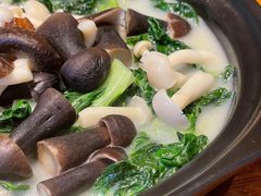 野菌煲淋奶白菜-广州富力君悦大酒店空中花园