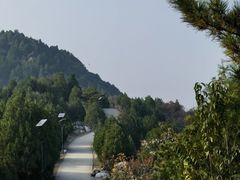 -府君山公园