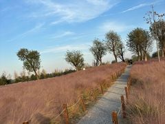 -汉长安城未央宫国家考古遗址公园