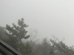 -石老人观光园