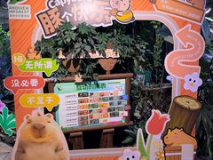 -正佳雨林生态植物园