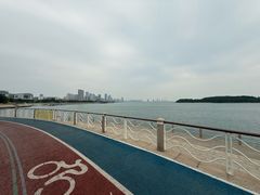 -琴岛之星摩天轮
